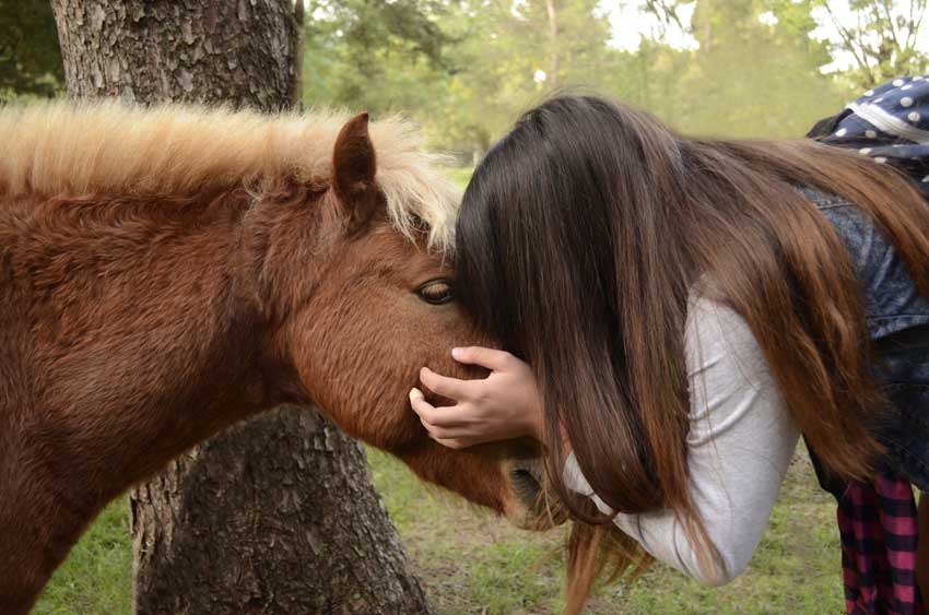 Girl hugging horse