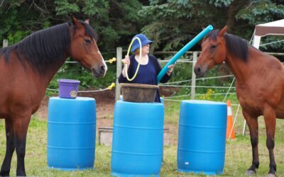 Connecting with horses